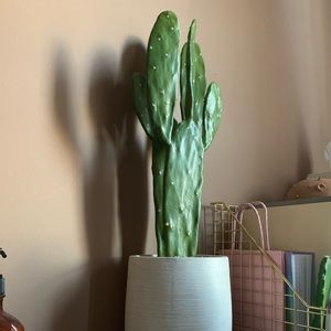 Tall Faux Cactus